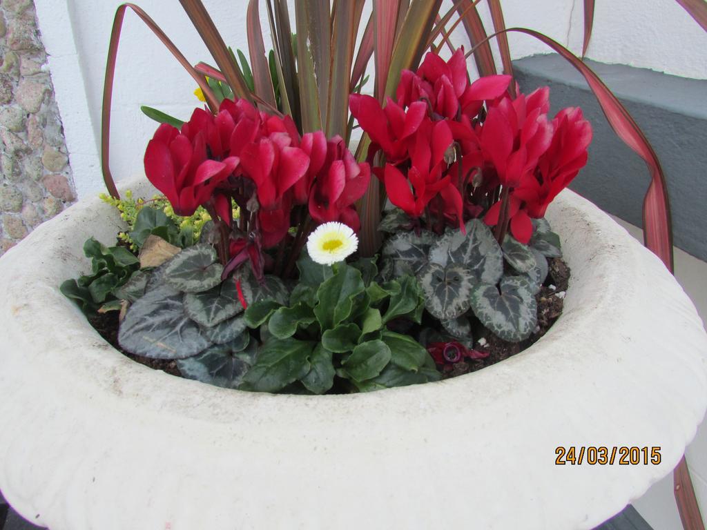 Bay View Guest House And B&B Galway Esterno foto